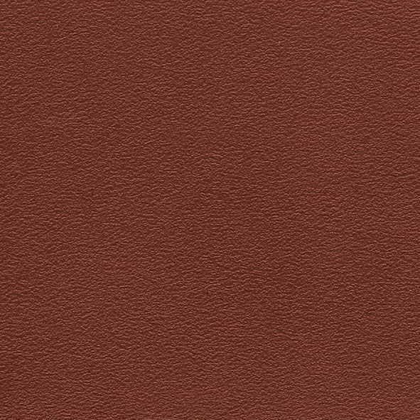 PP19 Oxide red Polypropylene