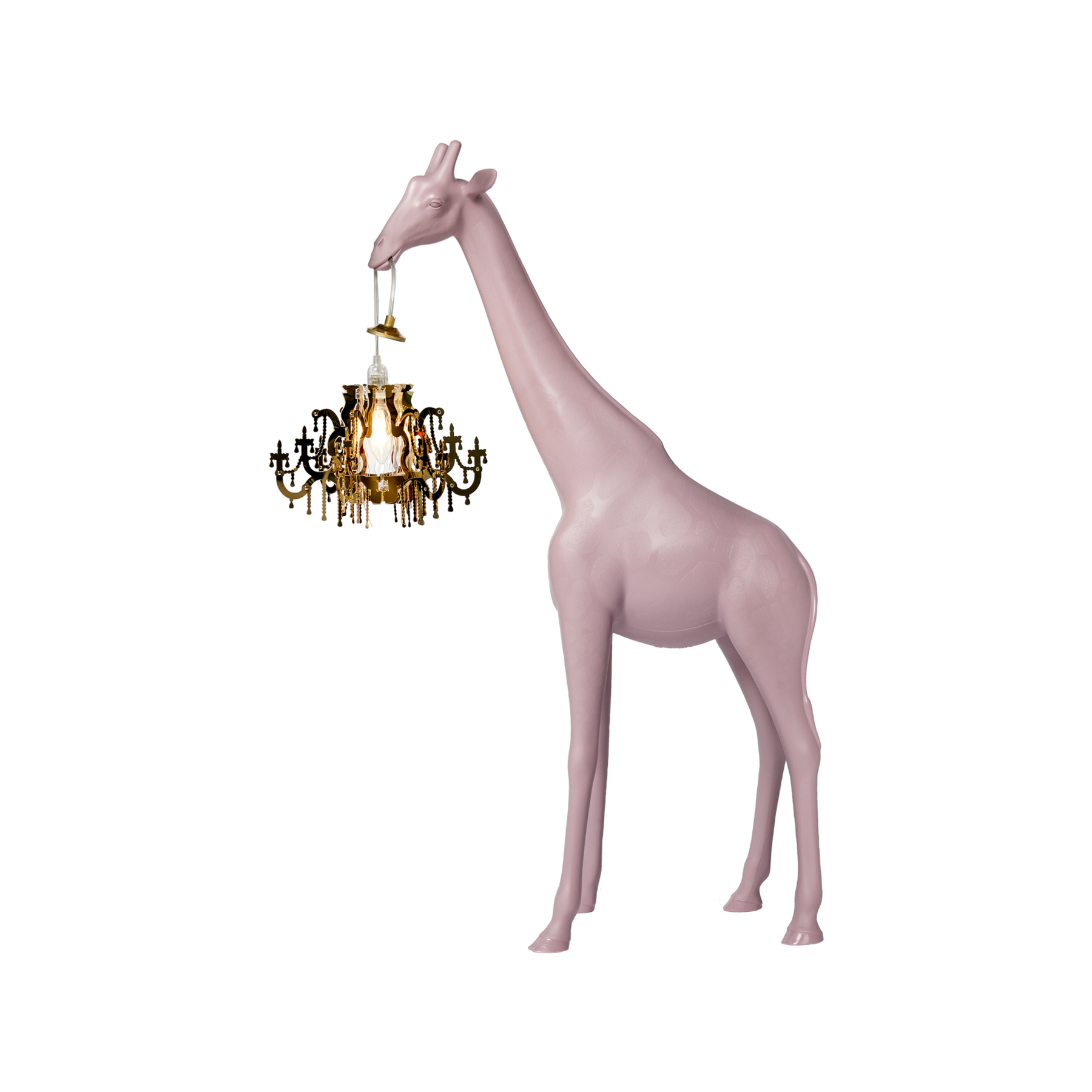 dusty rose
