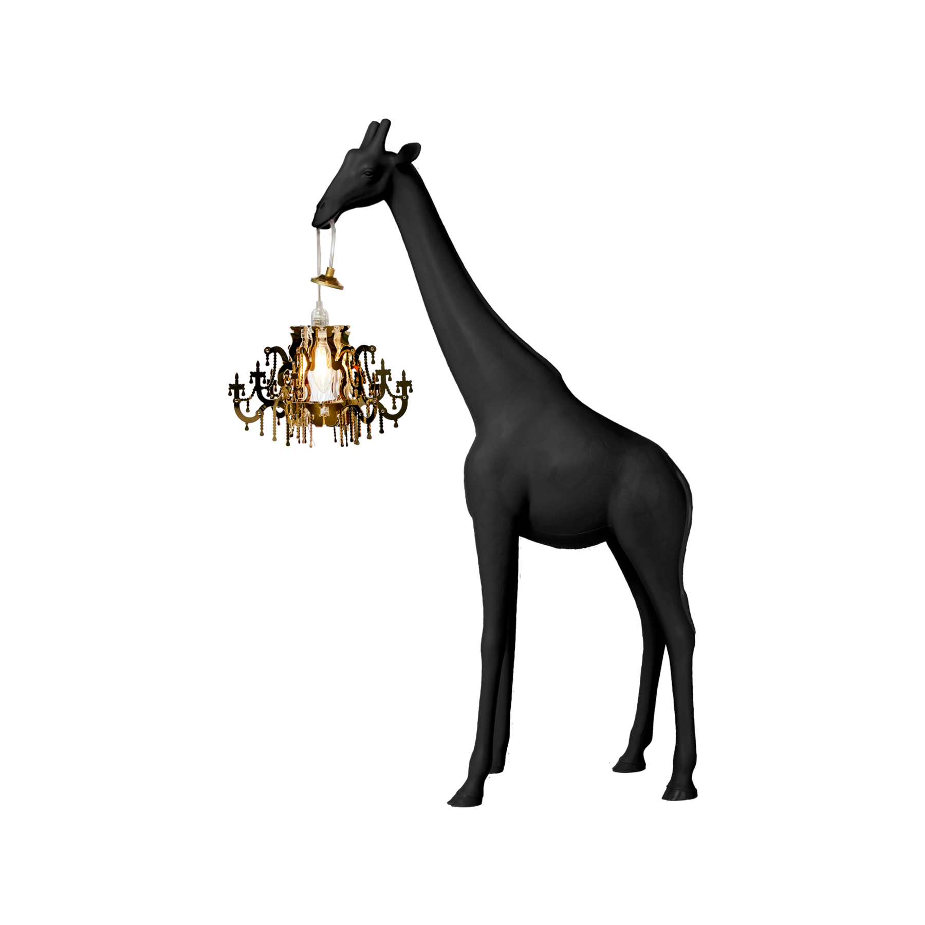 black(available - διαθέσιμο)