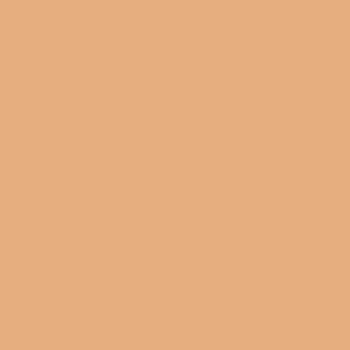 Lacquer RAL 050 70 40 light orange