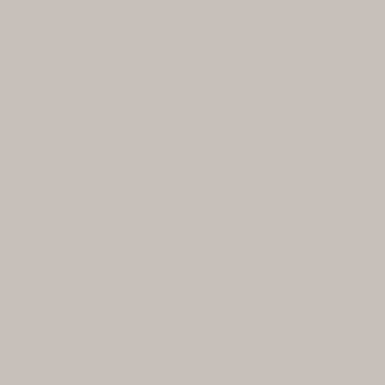 Lacquer RAL 060 70 05 cement greige