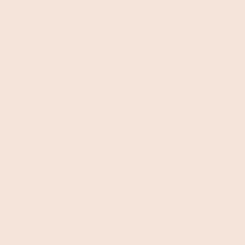 Lacquer RAL 010 90 10 light apricot
