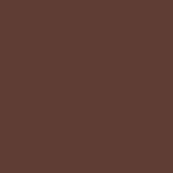 Metal RAL 3007 brown