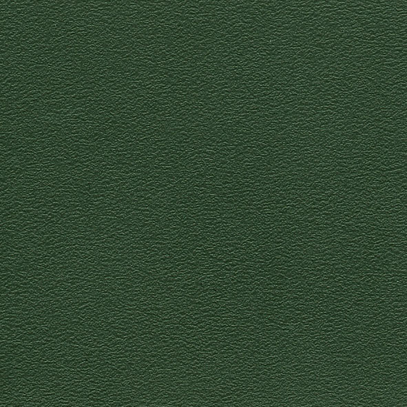 PP21 Dark green Polypropylene