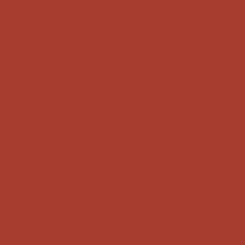 Metal RAL 3016