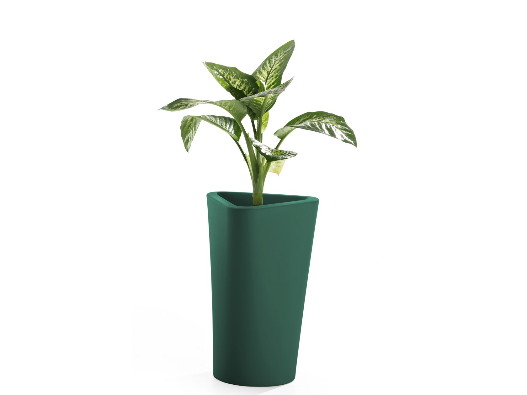 pine green low H71cm
