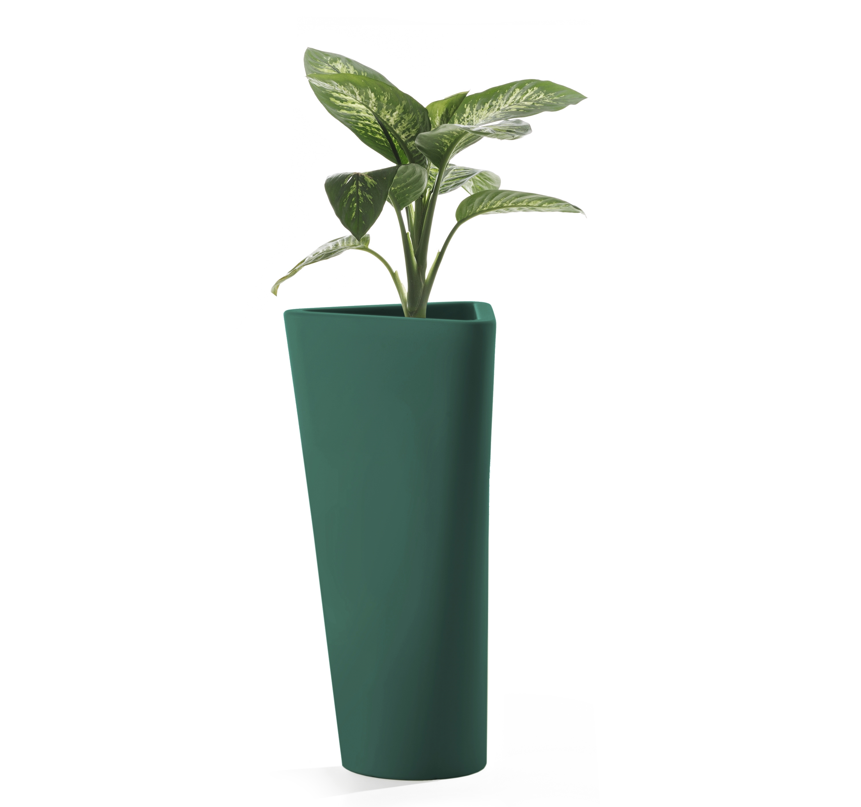 pine green high H 101cm