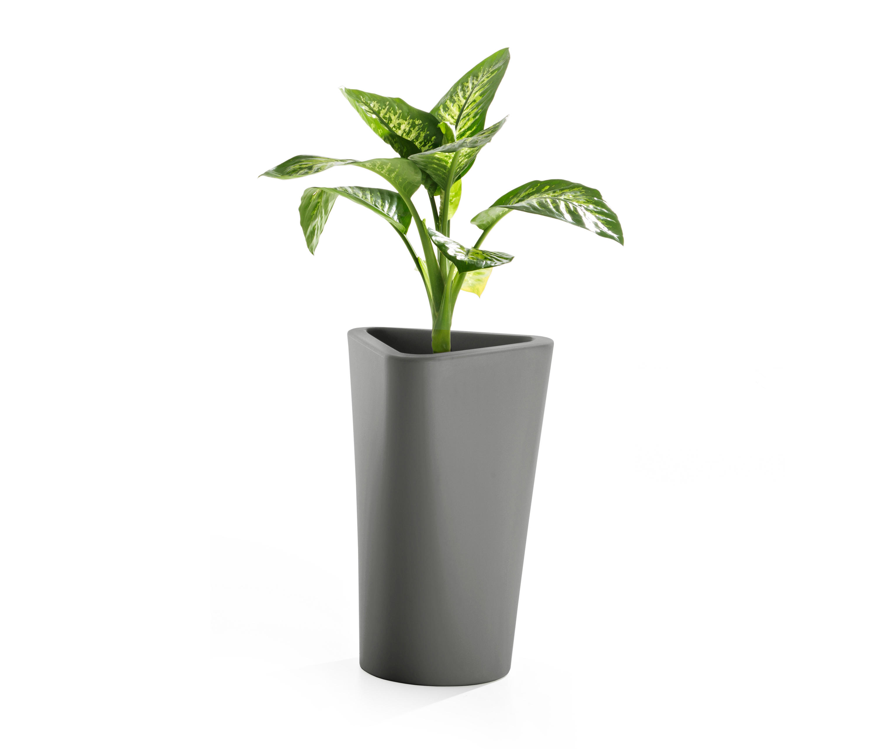 grey low H 71cm