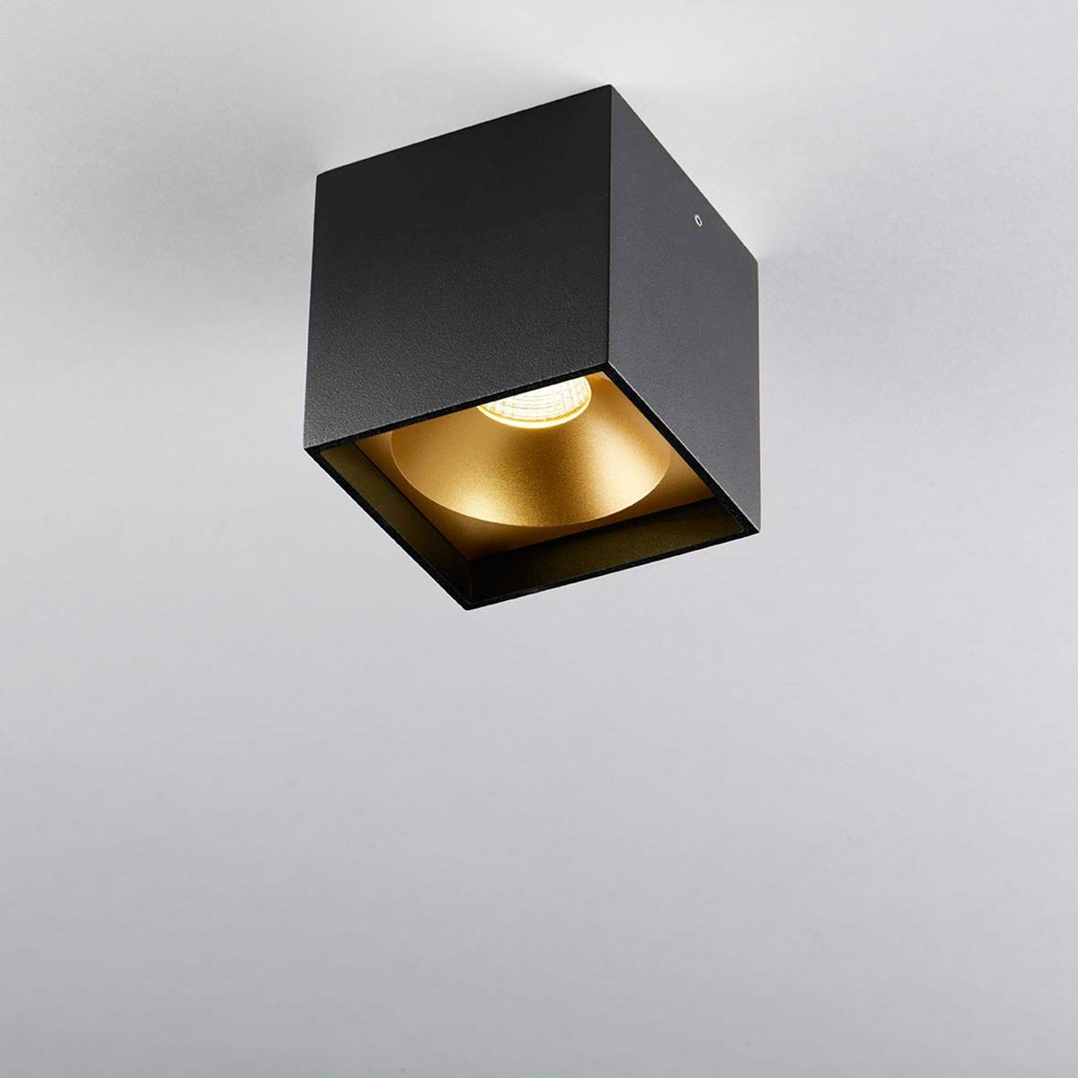 black / gold